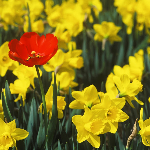 Hd-172728-ascw172728