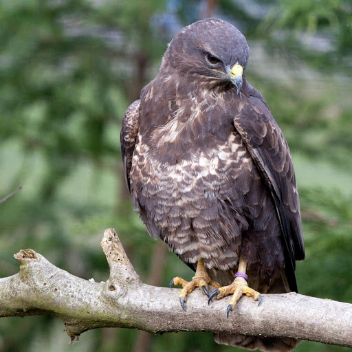 Hd-178579-ascw178579