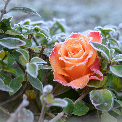 Hd-152659-ascw152659