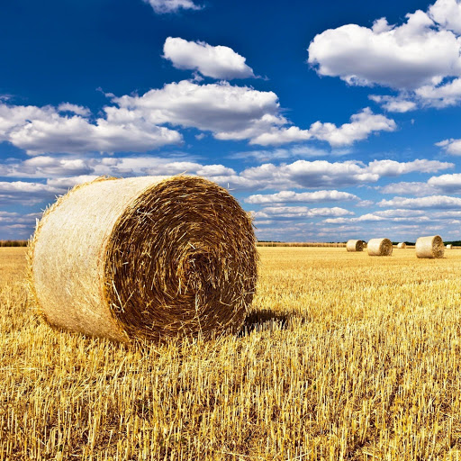 Hd-142083-ascw142083