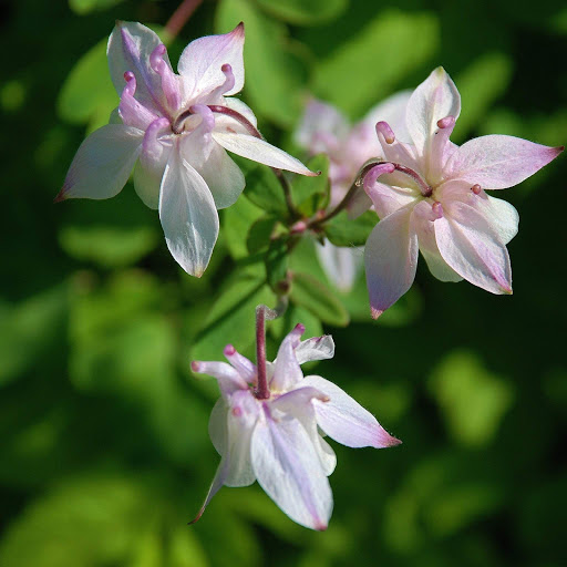 Hd-152634-ascw152634