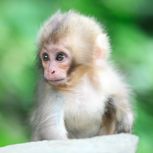 Hd-190905-ascw190905