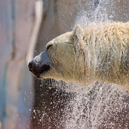 Hd-137940-ascw137940