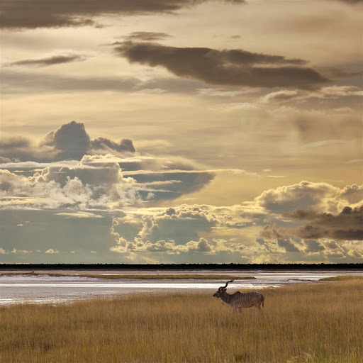 Hd-179345-ascw179345