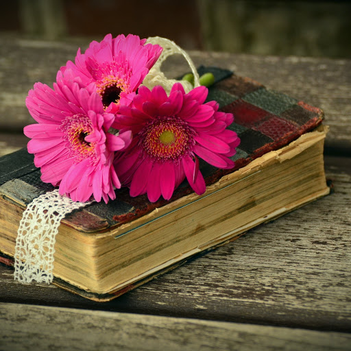 Hd-185811-ascw185811