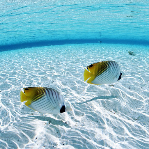 Hd-141861-ascw141861