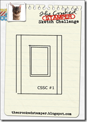 CSSC#1v4-scaled