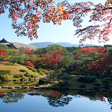 依水園,紅葉(PK3_0740,F10,21mm,K3)2014yaotomi_.jpg