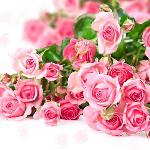 Hd-178161-ascw178161