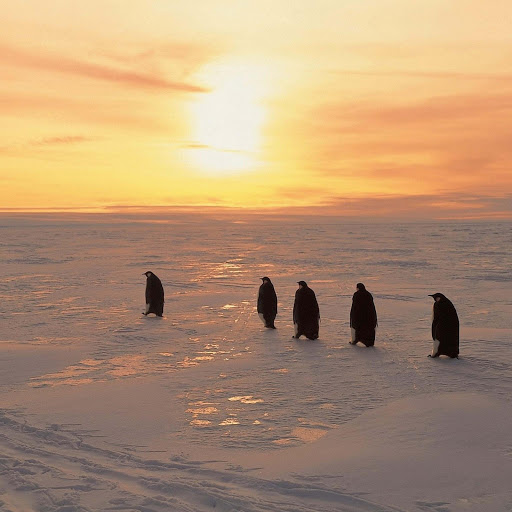 Hd-131981-ascw131981