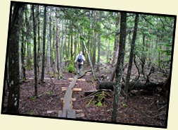 8 - Another Balance Beam Trail