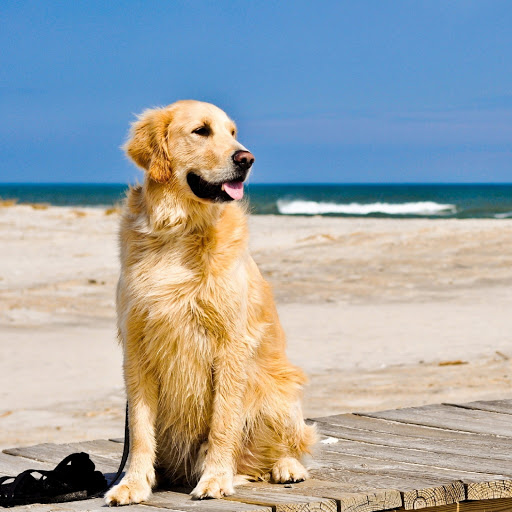 Hd-181830-ascw181830