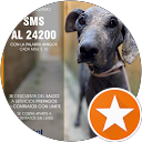 jose0 luis profile picture