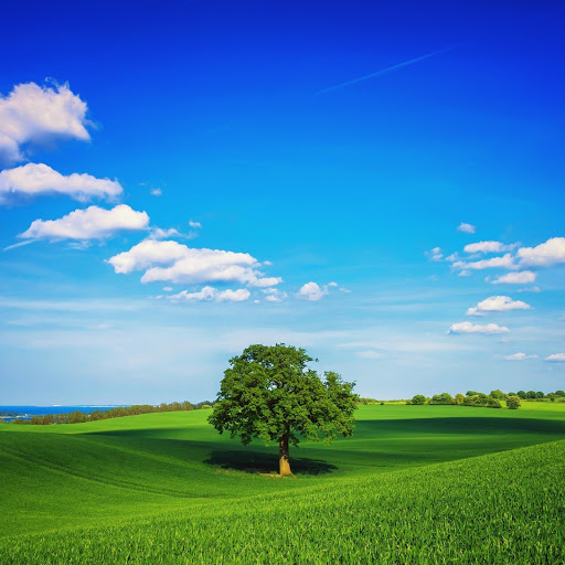 Hd-165403-ascw165403