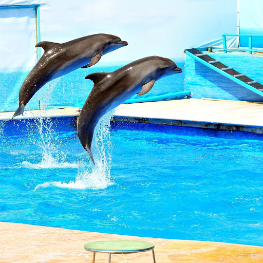 Hd-164455-ascw164455