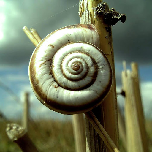 Hd-145767-ascw145767