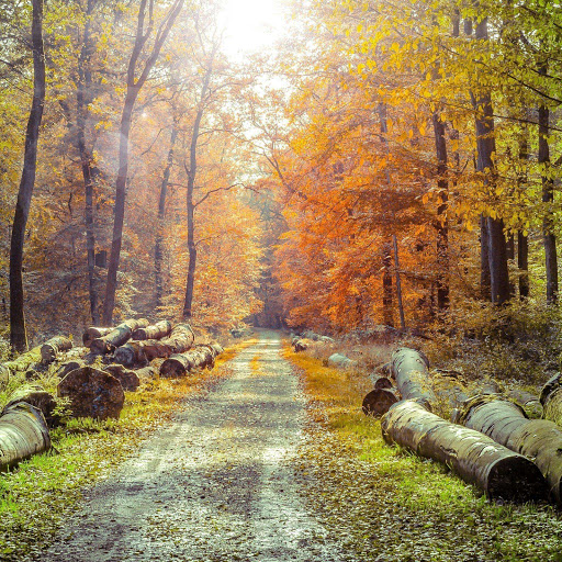 Hd-169899-ascw169899