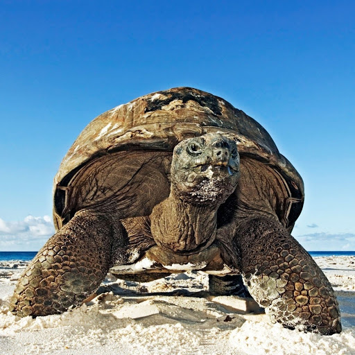 Hd-137665-ascw137665