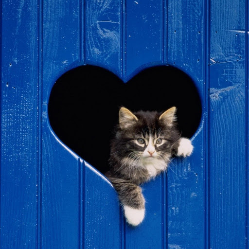 Hd-139952-ascw139952