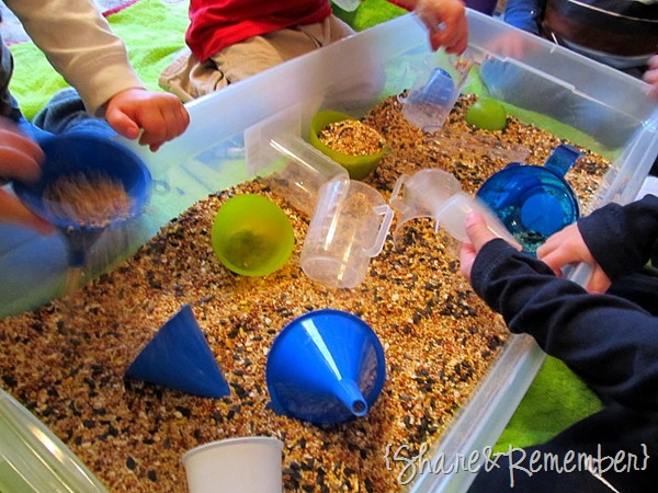 birdseed sensory bin