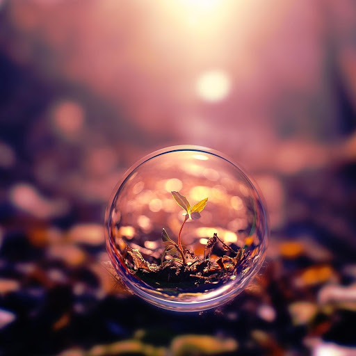 Hd-161399-ascw161399