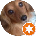 Gerard Quinn profile picture