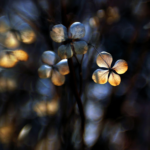 Hd-143136-ascw143136