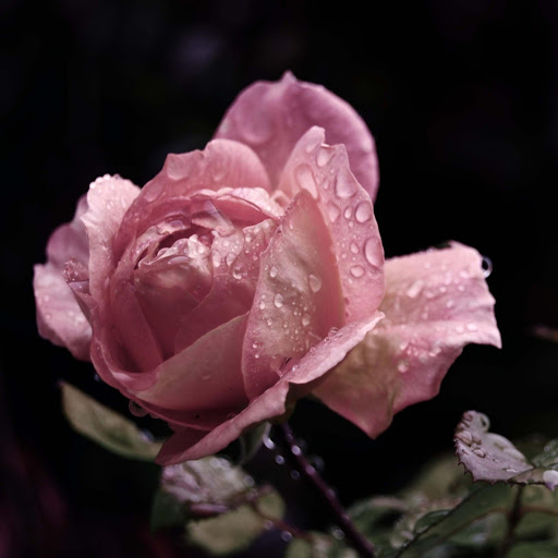 Hd-171365-ascw171365