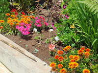 DSC02462.jpg