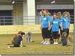 Dog drill team from Boone County shows off.