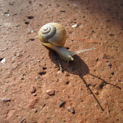 Hd-179197-ascw179197