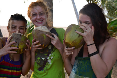 Voluntar in Africa: nuci de cocos in Togo