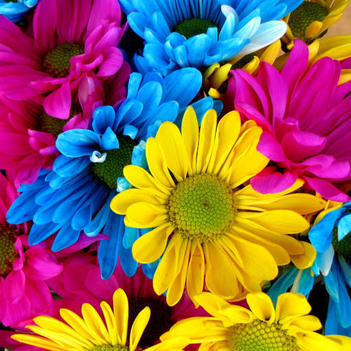 Hd-167032-ascw167032