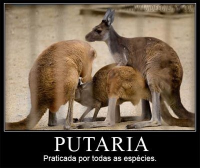 [motiva_putaria%255B5%255D.jpg]