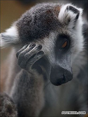 [1278974179_0_50635_6927ad74_l%255B3%255D.jpg]