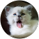 A W