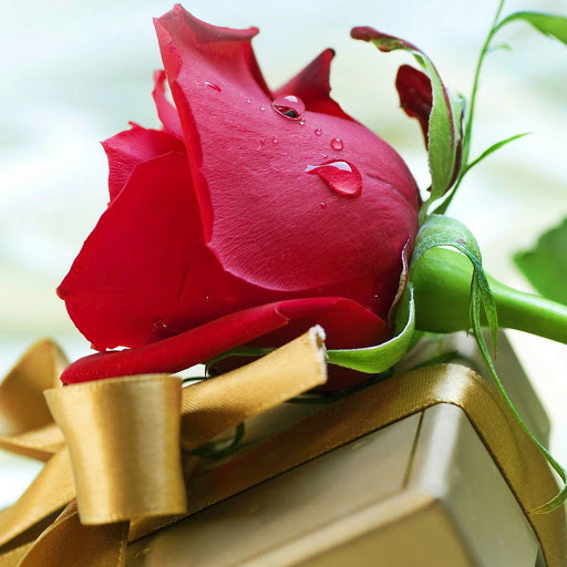 Hd-142306-ascw142306