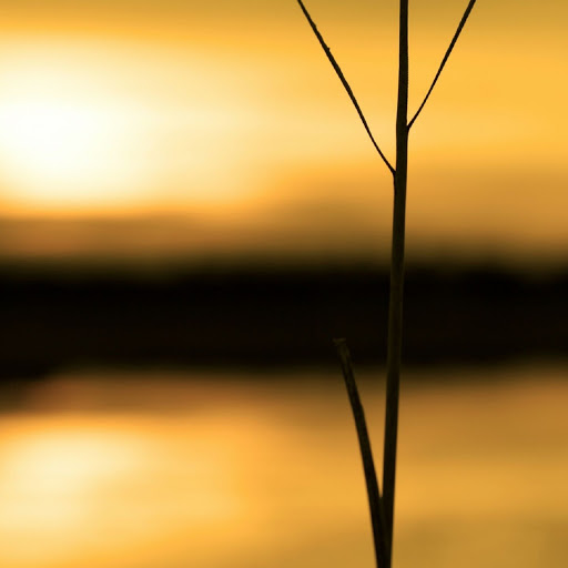 Hd-136916-ascw136916