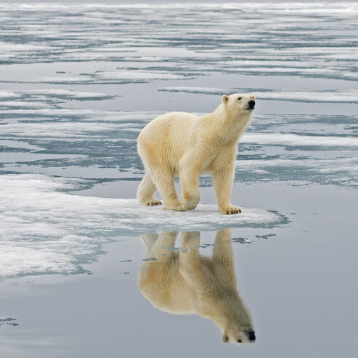 Hd-181148-ascw181148