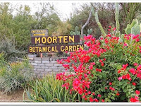 Moorten Botanical Garden Instagram