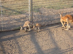 IMG_8639 IMG_8639