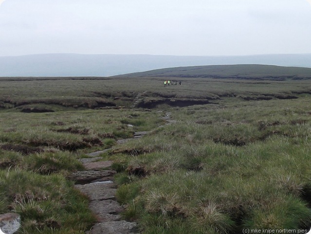 dofe group wanders off into the distance not taking to anybody