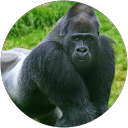 tim dawkins profile picture