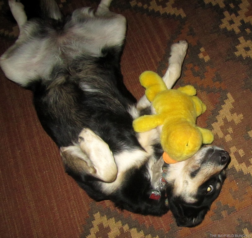 [IMG_0865%255B4%255D.jpg]