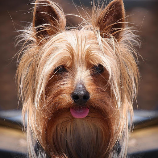 Hd-132188-ascw132188