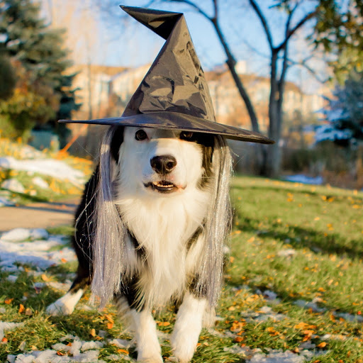 Hd-180675-ascw180675