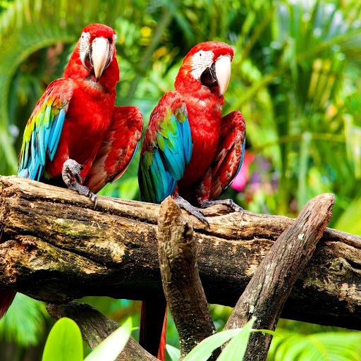 Hd-158523-ascw158523