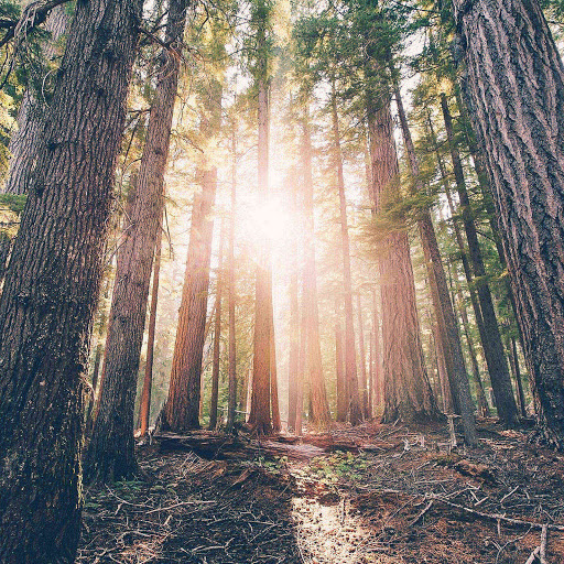 Hd-136431-ascw136431