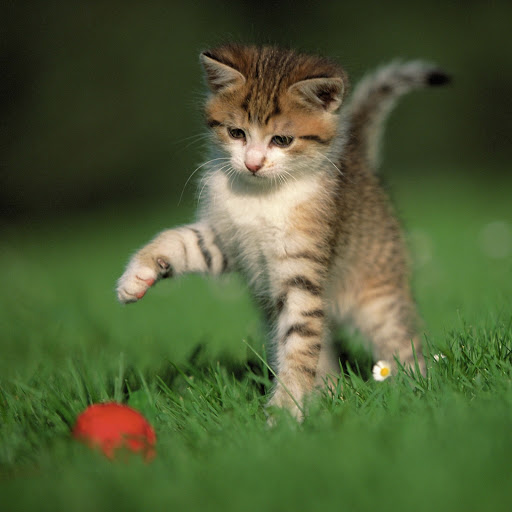 Hd-190493-ascw190493