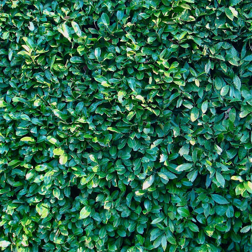 Hd-155762-ascw155762